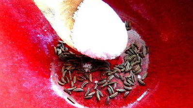 маринованные роллы из молодых кабачков