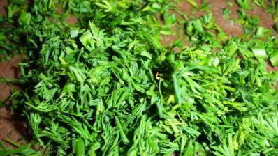 ролл вкусный