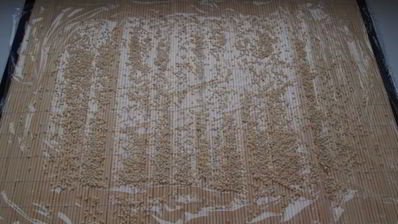 роллы из творога с фруктами