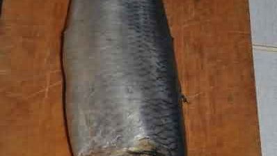 роллы по-русски