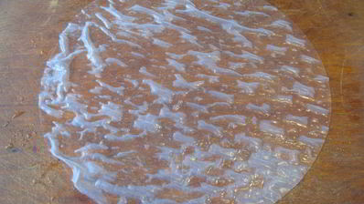 спринг-роллы с курицей, грибами и сливочным сыром