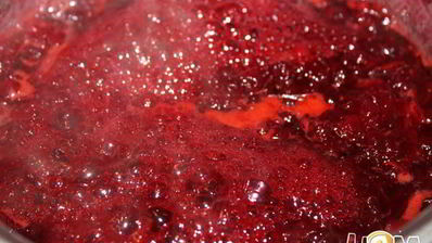 куриные рулеты с клюквой в беконе