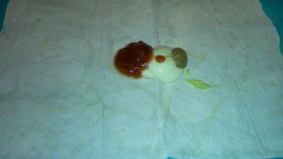 домашняя шаурма