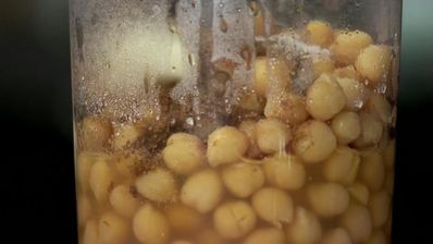 шаверма с бараньими котлетками