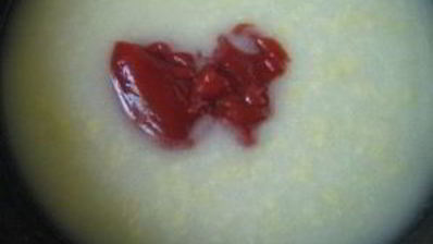 сосиски в томатном соусе