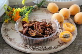 Сушка абрикосов в электросушилке