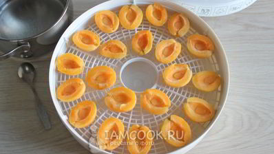сушка абрикосов в электросушилке