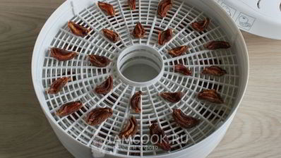 сушка абрикосов в электросушилке