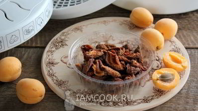 сушка абрикосов в электросушилке