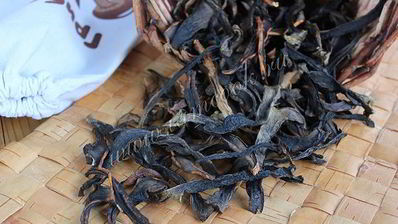 сушка грибов в сушилке