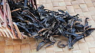 сушка грибов в сушилке