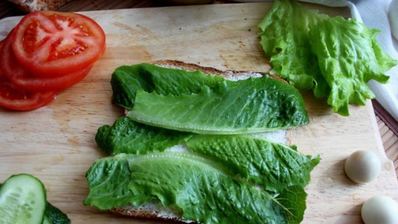 сэндвич по-деревенски с бужениной, перепелиным яйцом, овощами и салатом