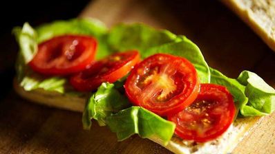 теплый сэндвич с куриной грудкой