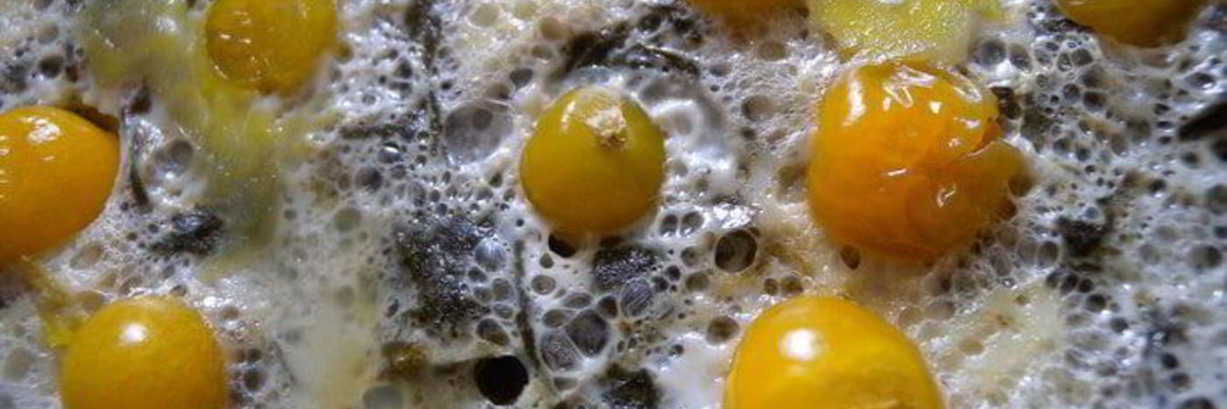 Яичница со шпинатом и физалисом