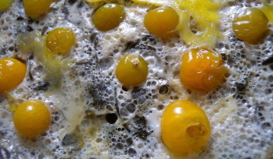 Рецепт яичницы со шпинатом и физалисом