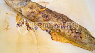 закуска по щучьему велению