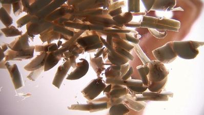 жюльен из грибов в волованах