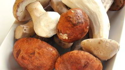 жюльен из лесных грибов