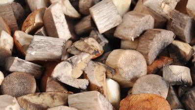 жюльен из лесных грибов